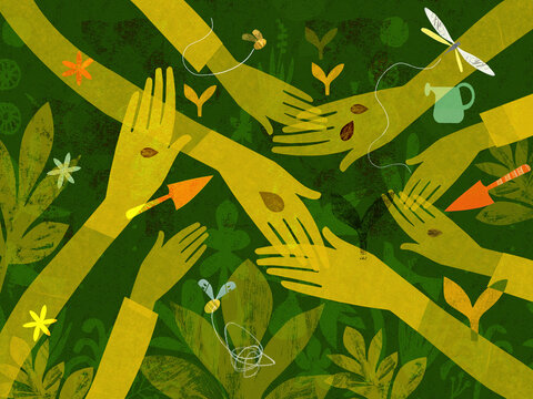 Lots of hands planting seeds