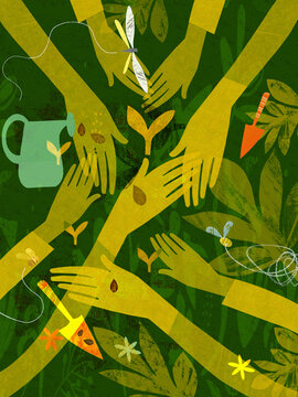 Lots of hands planting seeds