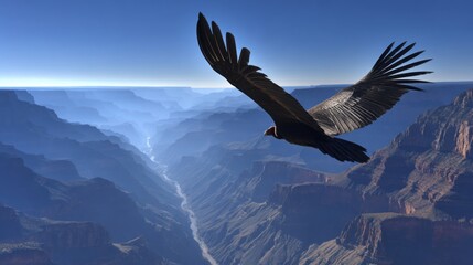 Fototapeta premium Majestic condor soaring effortlessly over the vast, majestic Grand Canyon landscape under a clear blue sky.