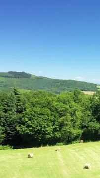 Scenic summer landscape with green hills, dense forest, and hay bales under a clear blue sky in the Morvan region of France.