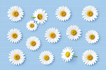 a bunch of daisies on a blue background © He