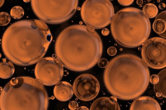 A bunch of red bubbles that are in the air
