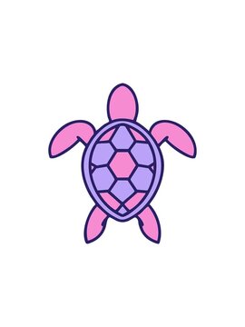 starburst effect animation of brazilian turtle shown from above drawing
