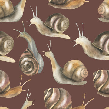 Seamless snail pattern brown