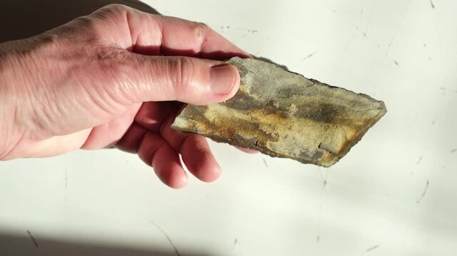 Sensory experience. Slate stone in woman's hand. Tactile interaction with natural, organic materials. Bright sunlight. Help from digital fatigue.