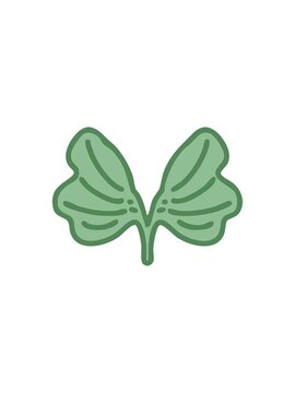 starburst effect animation of traditional japanese ginko leaf symbol