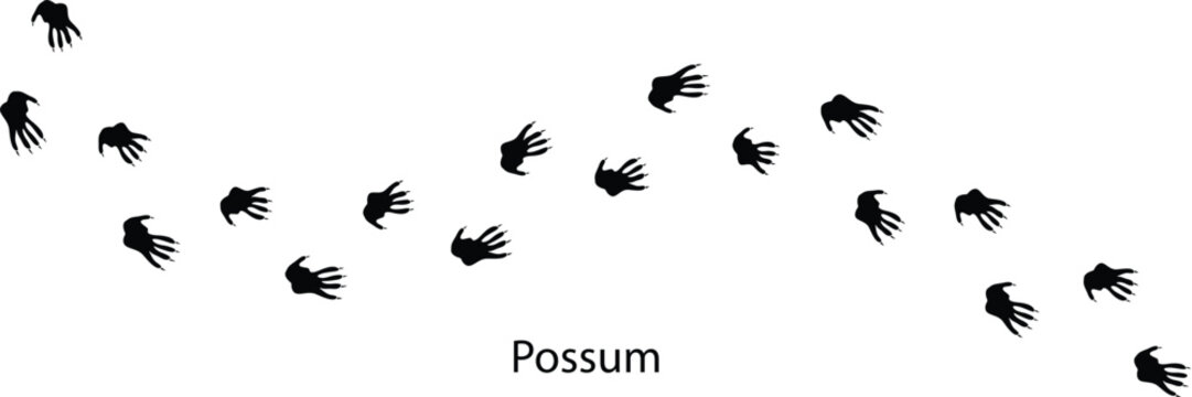 Possum Footprint Icon &ndash; Animal Paw Print Track Silhouette Vector EPS