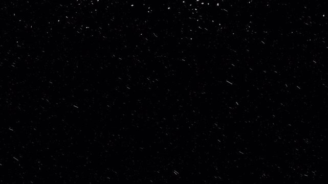 4k stock | Snow transparent background animation isolated pro res alpha channel winter falling particles perfect for overlays, VFX, and winter scene compositions.