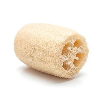 Closeup of a natural loofah sponge for skincare and exfoliation.