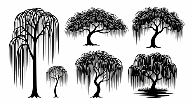 Weeping Willow Tree Silhouettes Collection