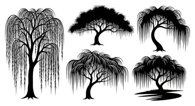 Weeping Willow Tree Silhouettes Collection