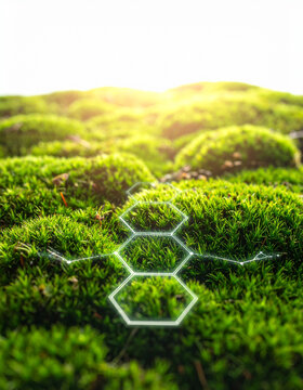 Extreme macro photograph of a lush vibrant green moss field with integrated glowing conceptual hexagonal digital data grids conceptualizing conceptual soil monitoring Agrotech and climate change solut