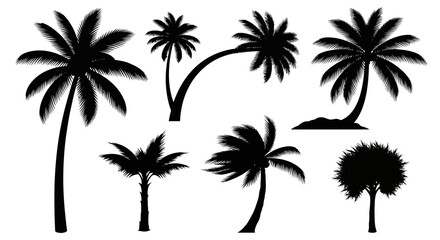 Obraz premium Tropical Palm Tree Silhouettes Collection: Exotic Beach and Island Elements
