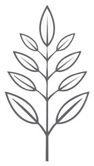 Fototapeta premium Monochrome botanical branch with leaves for design elements, decorations, organic product labels