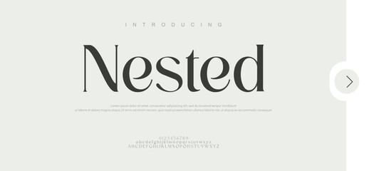 Fototapeta premium Elegant awesome alphabet letters font and number. Typography, modern serif fonts, regular decorative beauty concepts. Vector illustrations. 