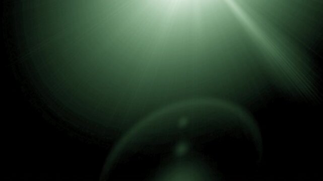 Quick Snapshot Camera Flash Organic 4K Transitions