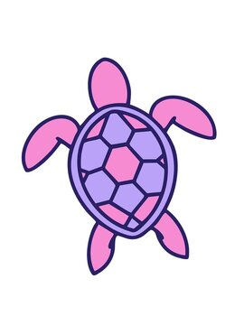 shaking motion animation of brazilian turtle shown from above drawing