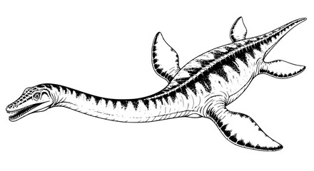 elasmosaurus vector art © Koko