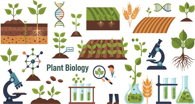 Plant Biology Vector Illustration Set with Plant Growth Stages, Roots, DNA Structure, Microscope Research, Wheat Crops, and Botanical Laboratory Experiments