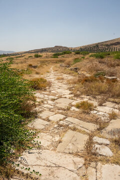 Ancient Roman road through the ruins of Bulla Regia, outside of Jendouba, Tunisia