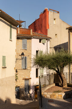 Ruelle et placette ensoleill&eacute;e dans un village proven&ccedil;al du sud de la France, un olivier au premier plan, ciel bleu et maisons anciennes de caract&egrave;re en arri&egrave;re plan, ambiance d'&eacute;t&eacute;, La Cadi&egrave;re d&rsquo;Azur