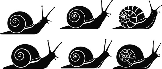 Collection of black snail silhouettes with different spiral shell patterns isolated on white background for garden nature and wildlife design © Hafiza