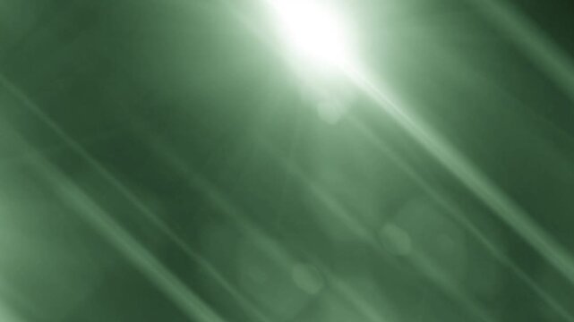 Real Shutter Camera Flash Organic 4K Transitions