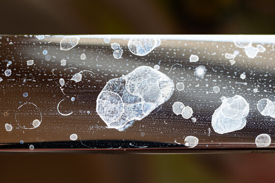 Close up of white dried limescale and water spots on a shiny chrome bathroom or kitchen faucet handle surface