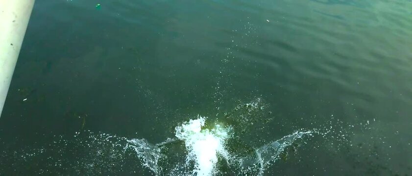 Aerial video captures a splash in the water