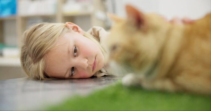 Child, sad and love a pet at vet, comfort and support sick cat at hospital, medicare and treatment. Unhappy girl, animal and trust in kid, volunteer and petting with hand, kindness and empathy
