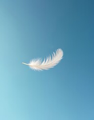 Fototapeta premium Single white feather floats gently against clear blue sky. Delicate down drifts upward, light and airy. Symbol of peace, freedom, and hope in open space.
