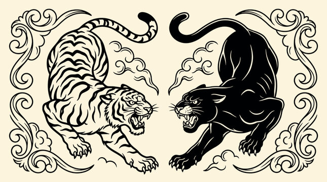 Tiger and panther aggressive illustration in vintage tattoo style featuring wild animals confrontation bold line art and decorative elements for graphic design