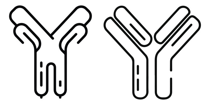 Diagram of antibody structure with two heavy chains and light chains