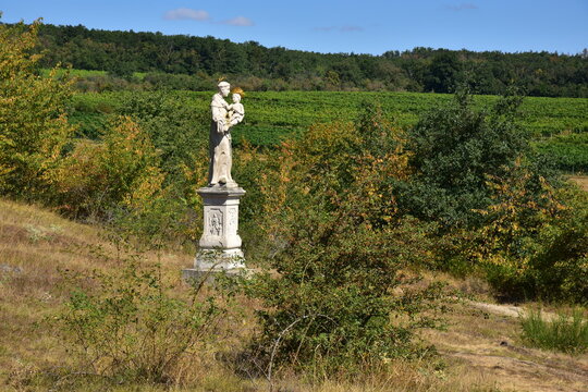 Educational Trail Popice Moravia Czech landscape in the area of vineyards