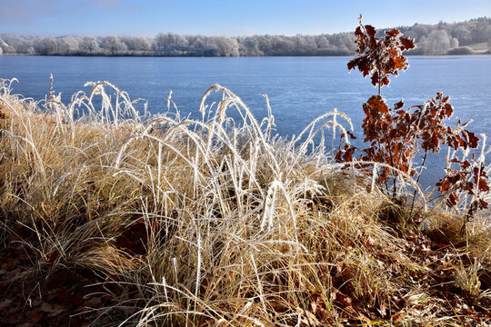 South Bohemian landscape around pond winter frost trees