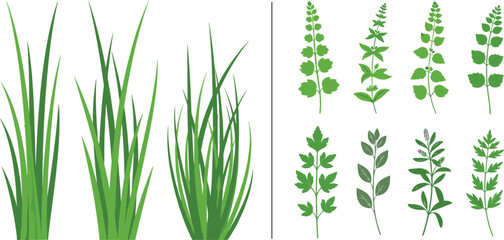 Grass and Botanical Leaves Vector Set with Green Plants, Herbal Foliage and Natural Garden Elements Illustration Collection © EdGe Creative