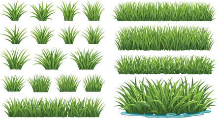 Lush Green Grass Vector Set with Lawn Patches, Decorative Tufts, Wetland Plants and Natural Landscape Elements Illustration © EdGe Creative