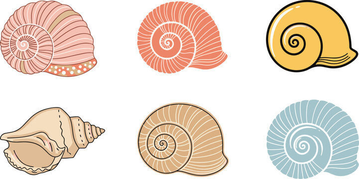 Hand-Drawn Seashells in Various Shapes and Colors for Coastal, Beach, and Nautical Design Projects