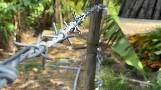 Close up view of metal barbed wire forming a rural fence with green plants softly blurred in the distant background. Farmland boundary.