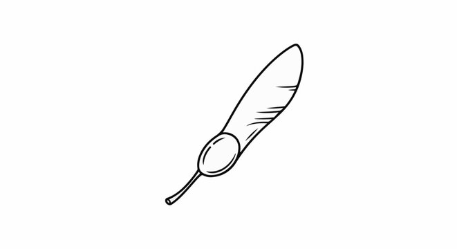 A hand-drawn outline of a winged seed against a white background