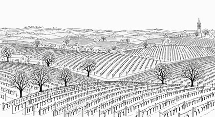 Fototapeta premium A hand-drawn line art illustration of rolling vineyard hills with buildings and a church