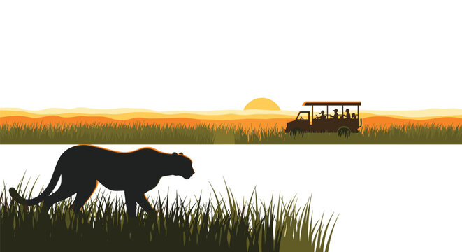 A cheetah silhouette walks through tall grass while a safari jeep with tourists drives in the distance under a setting sun.