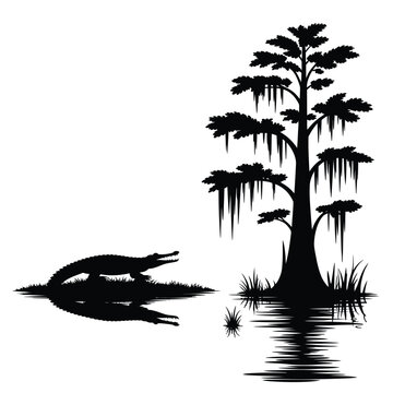 Silhouette of a cypress tree and alligator in a swamp landscape