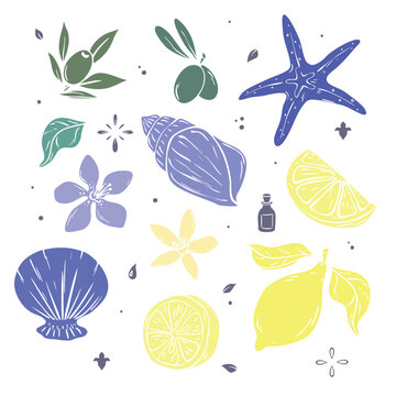 Colorful mediterranean elements set lemon olive shell and starfish vector illustration