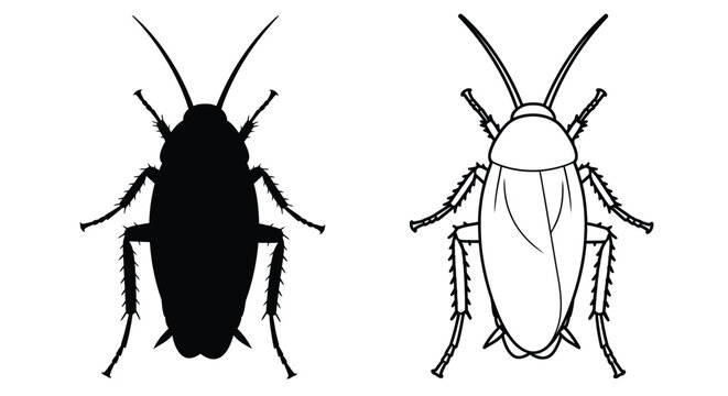 Two contrasting views of a cockroach solid black and white outline