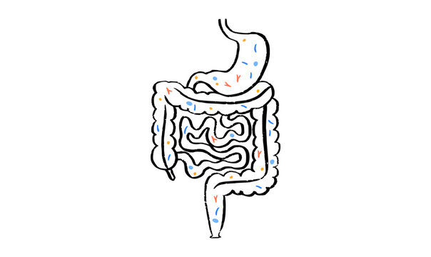 Gut Brain Connection