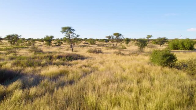 Drone footage of Kgalagadi Transfrontier Park.