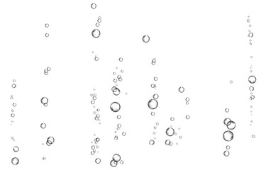 Oxygen air bubbles flow in water on white background.