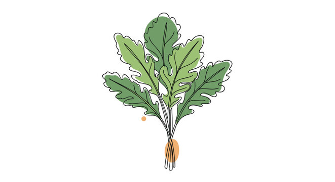 Artistic line drawing of a fresh bunch of kale or arugula leaves with minimalist color blobs on a clean white background.