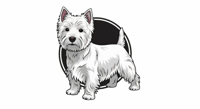 A white West Highland Terrier dog stands against a black oval background